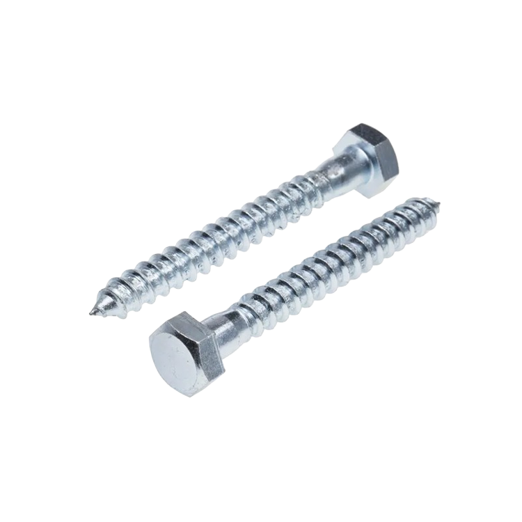 Lag / Coach Screws