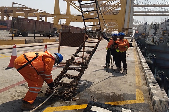 Jetty & Marine Infrastructure Repair Services